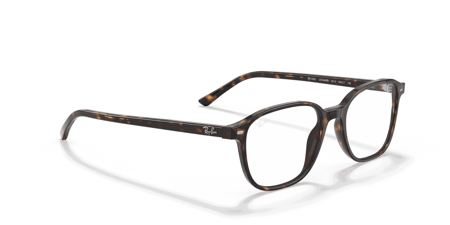[Clear Lenses, Polished Havana Frame]