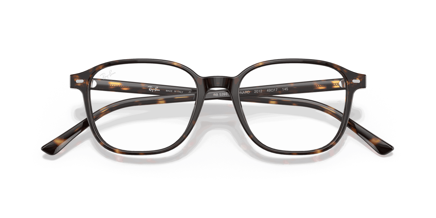 [Clear Lenses, Polished Havana Frame]