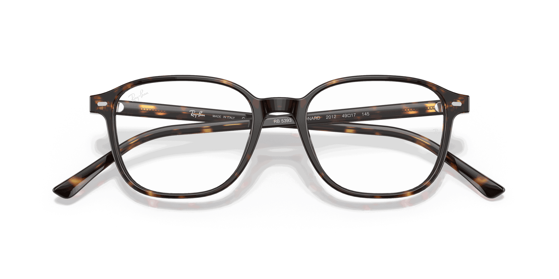 [Clear Lenses, Polished Havana Frame]