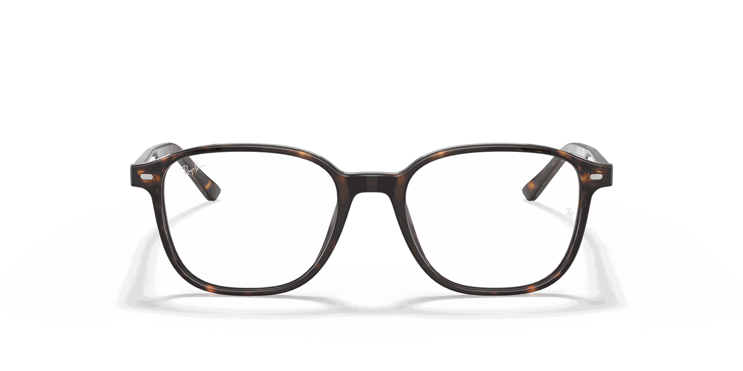 [Clear Lenses, Polished Havana Frame]