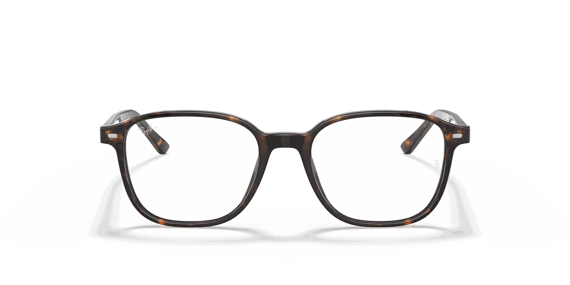 [Clear Lenses, Polished Havana Frame]