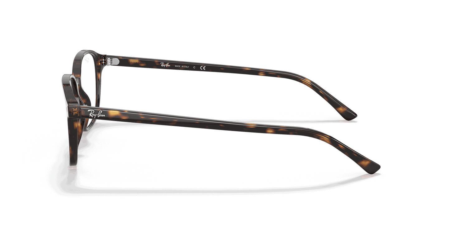 [Clear Lenses, Polished Havana Frame]