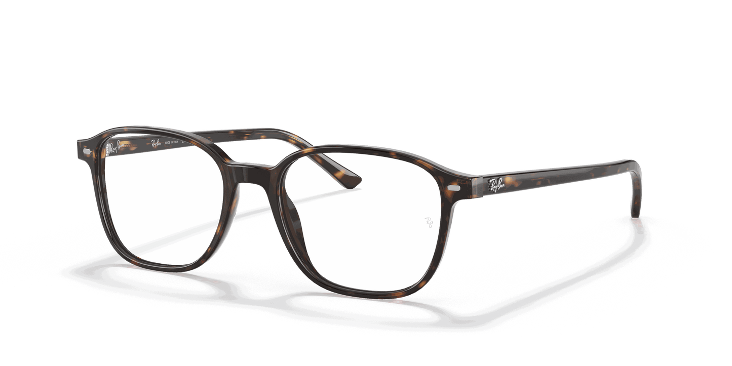 [Clear Lenses, Polished Havana Frame]