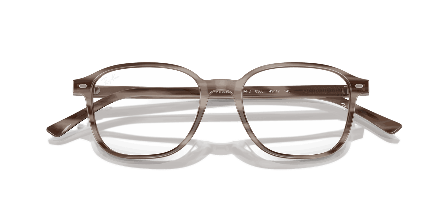 [Clear Lenses, Polished Striped Grey Frame]