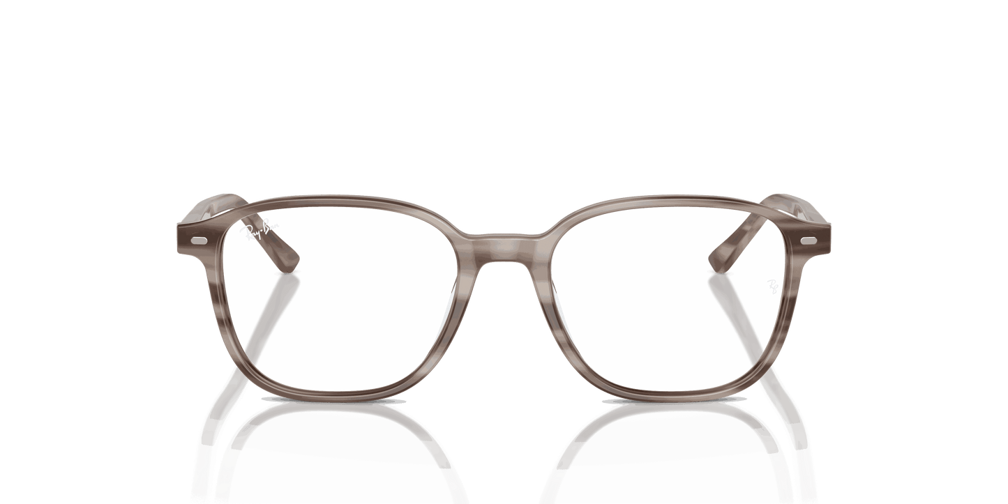 [Clear Lenses, Polished Striped Grey Frame]
