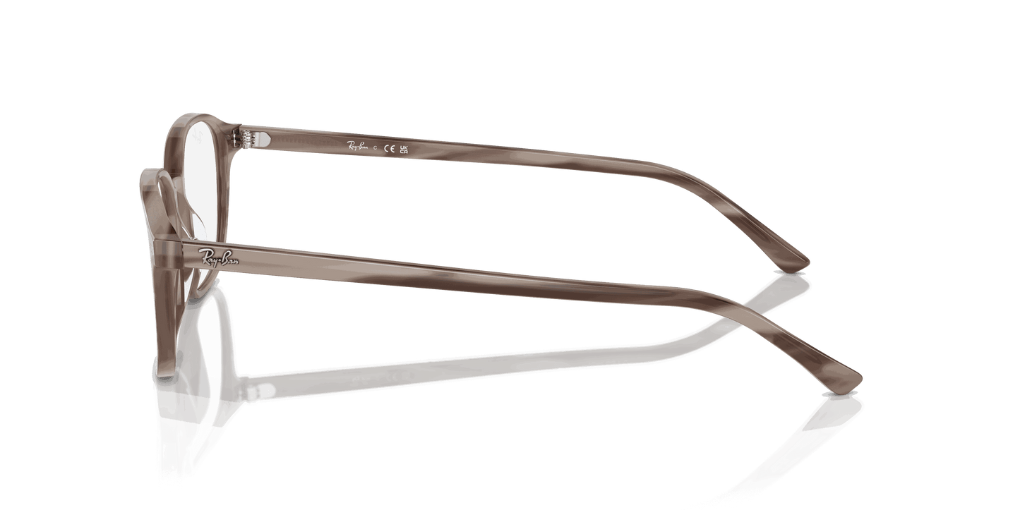 [Clear Lenses, Polished Striped Grey Frame]