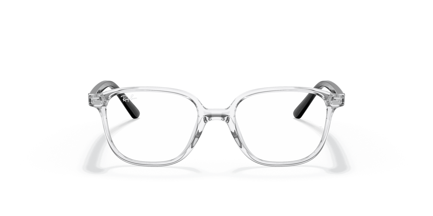 [Clear Lenses, Polished Transparent Frame]