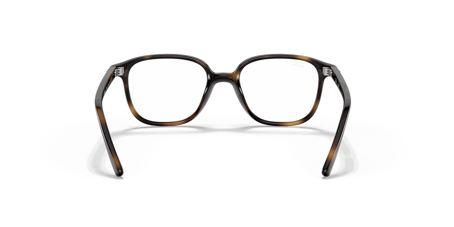 [Clear Lenses, Polished Havana Frame]