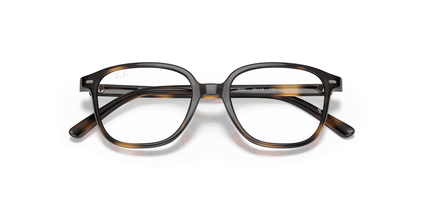 [Clear Lenses, Polished Havana Frame]