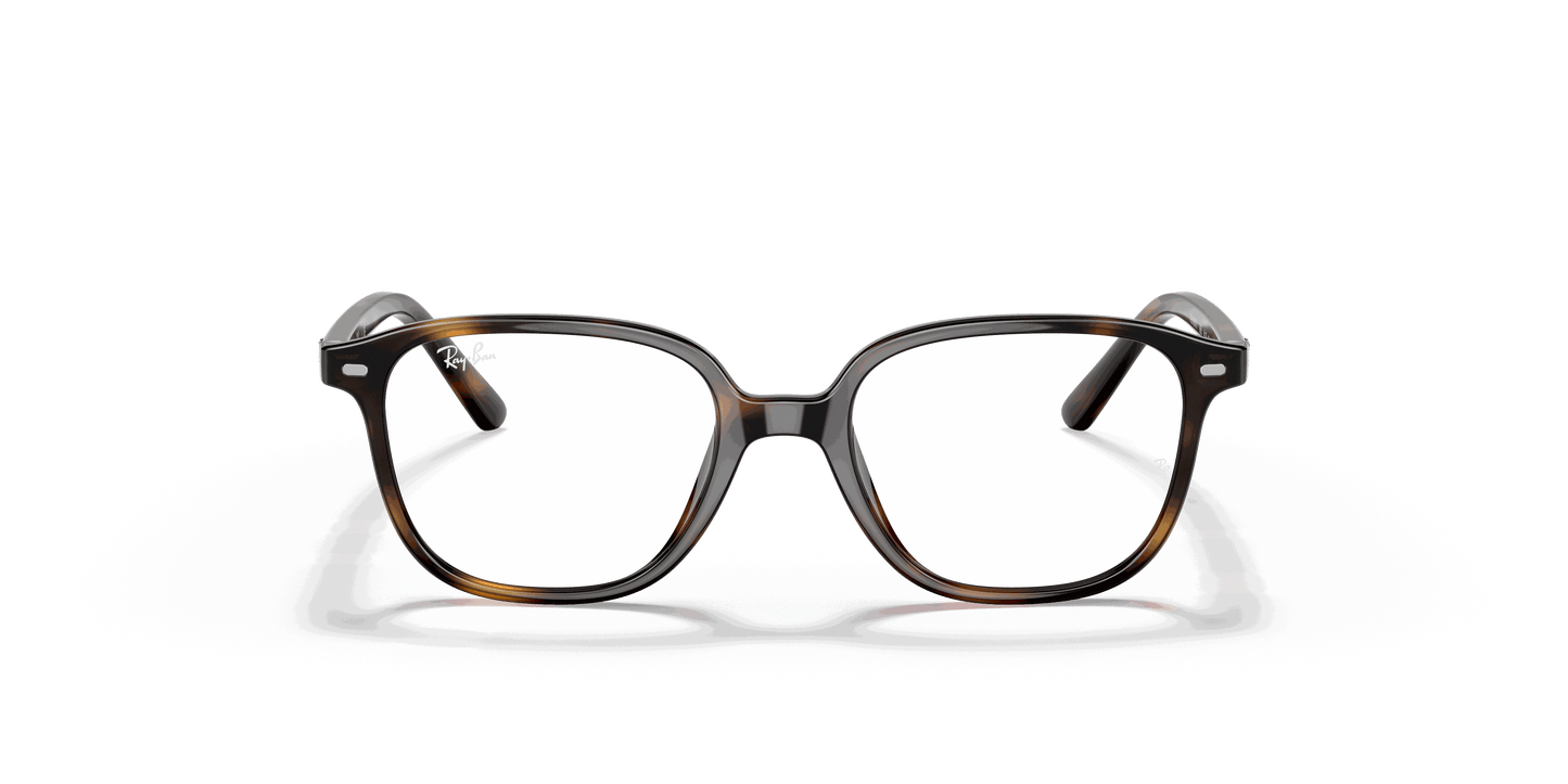 [Clear Lenses, Polished Havana Frame]