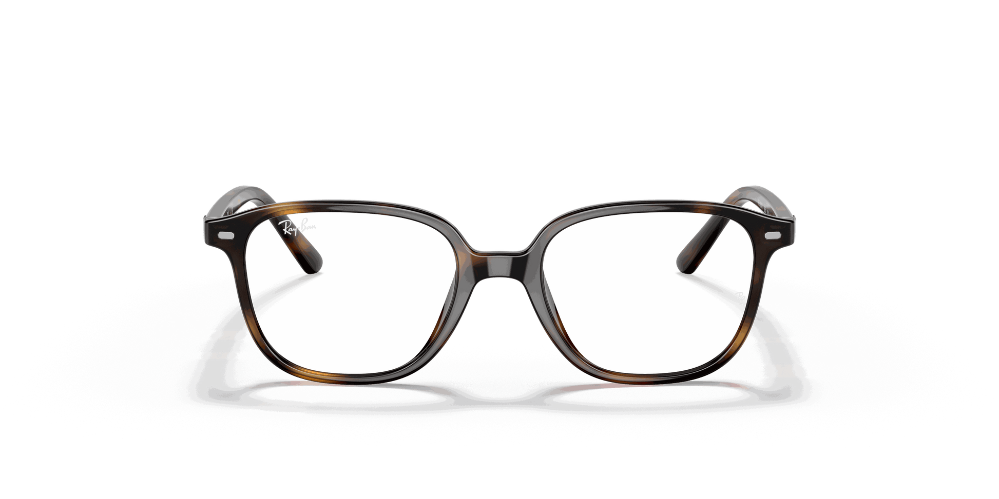 [Clear Lenses, Polished Havana Frame]