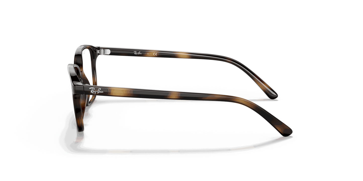 [Clear Lenses, Polished Havana Frame]