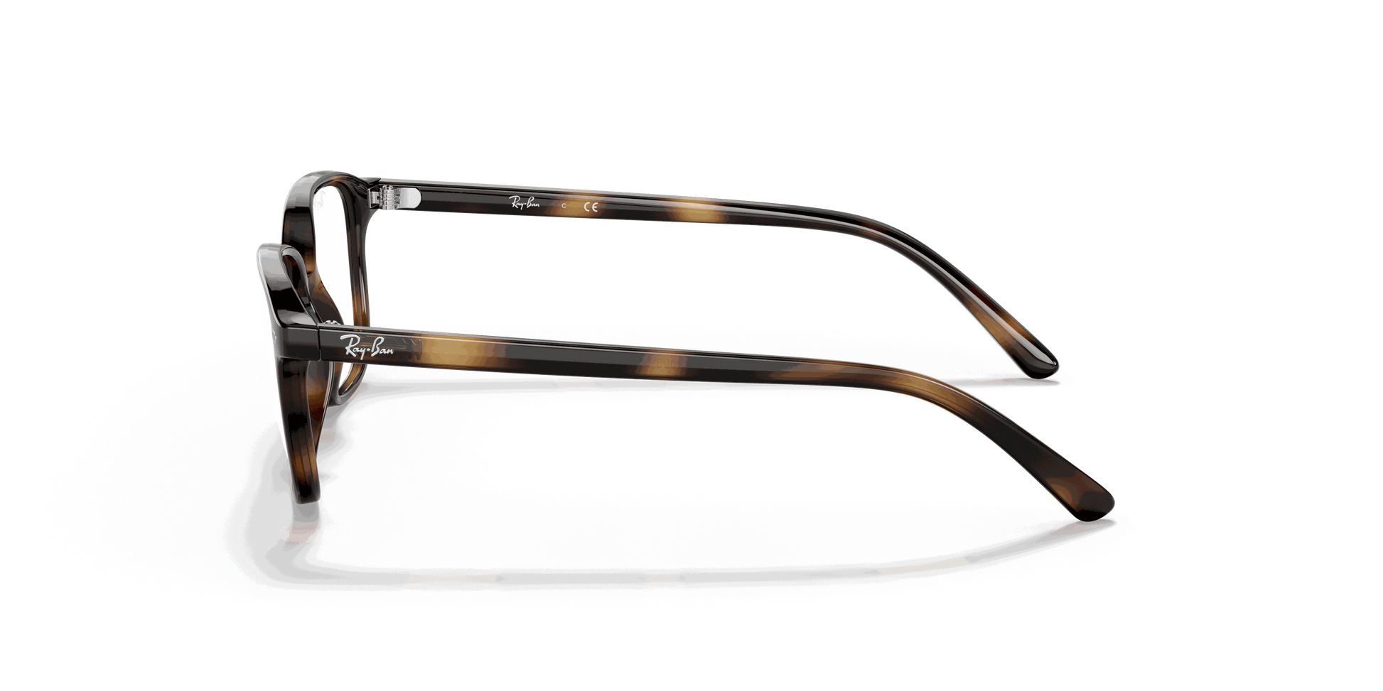 [Clear Lenses, Polished Havana Frame]