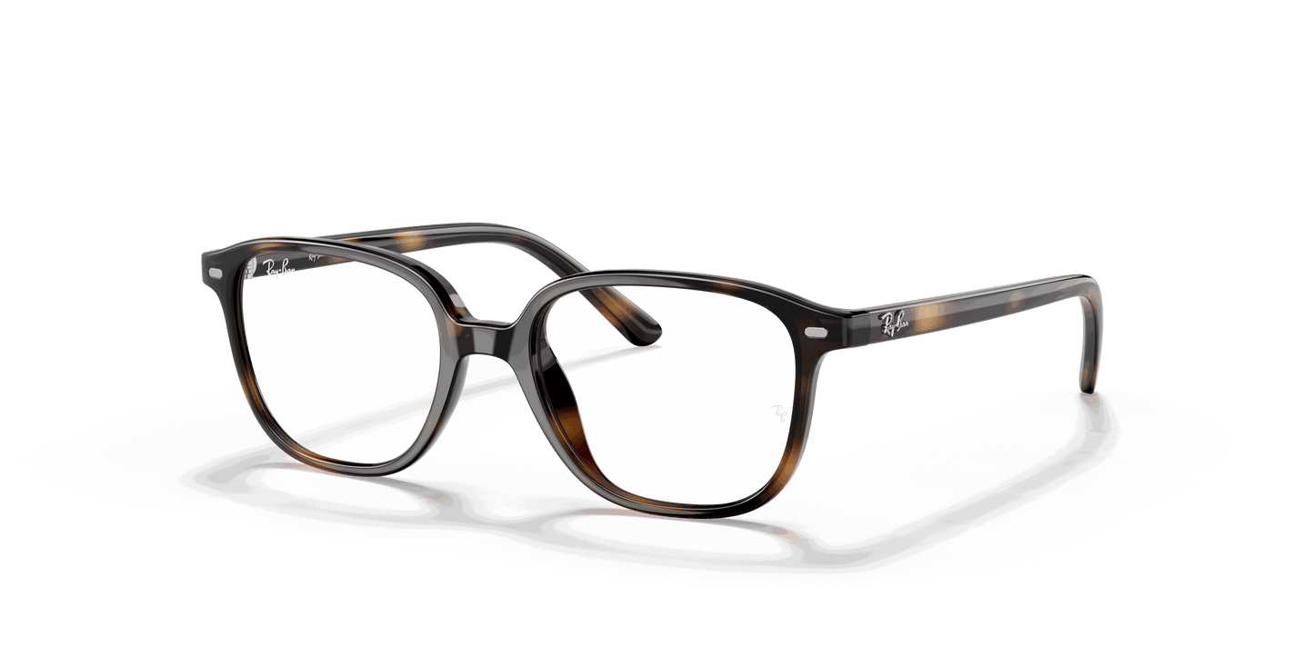 [Clear Lenses, Polished Havana Frame]