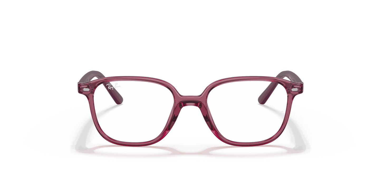 [Clear Lenses, Polished Transparent Pink Frame]