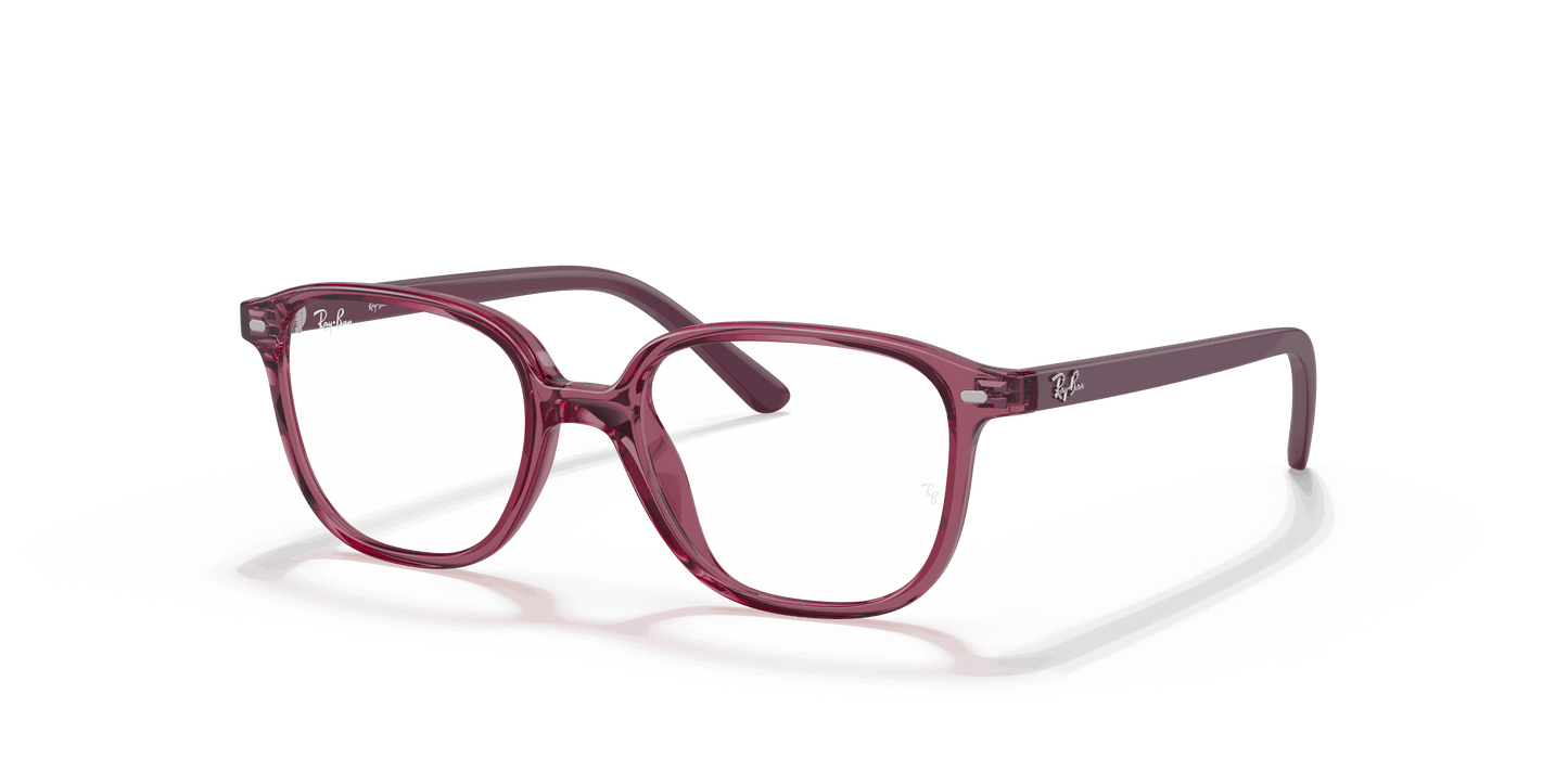 [Clear Lenses, Polished Transparent Pink Frame]
