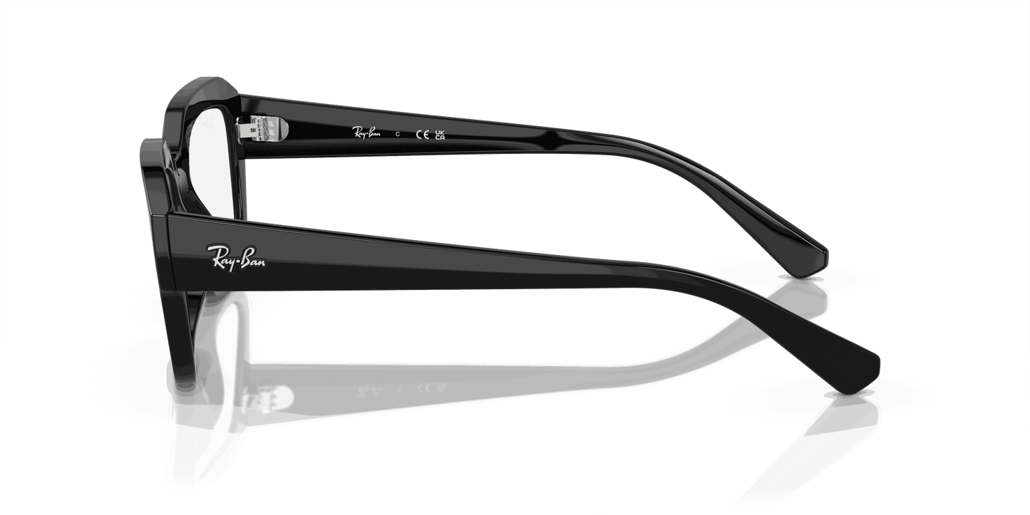 [Clear Lenses, Polished Black Frame]
