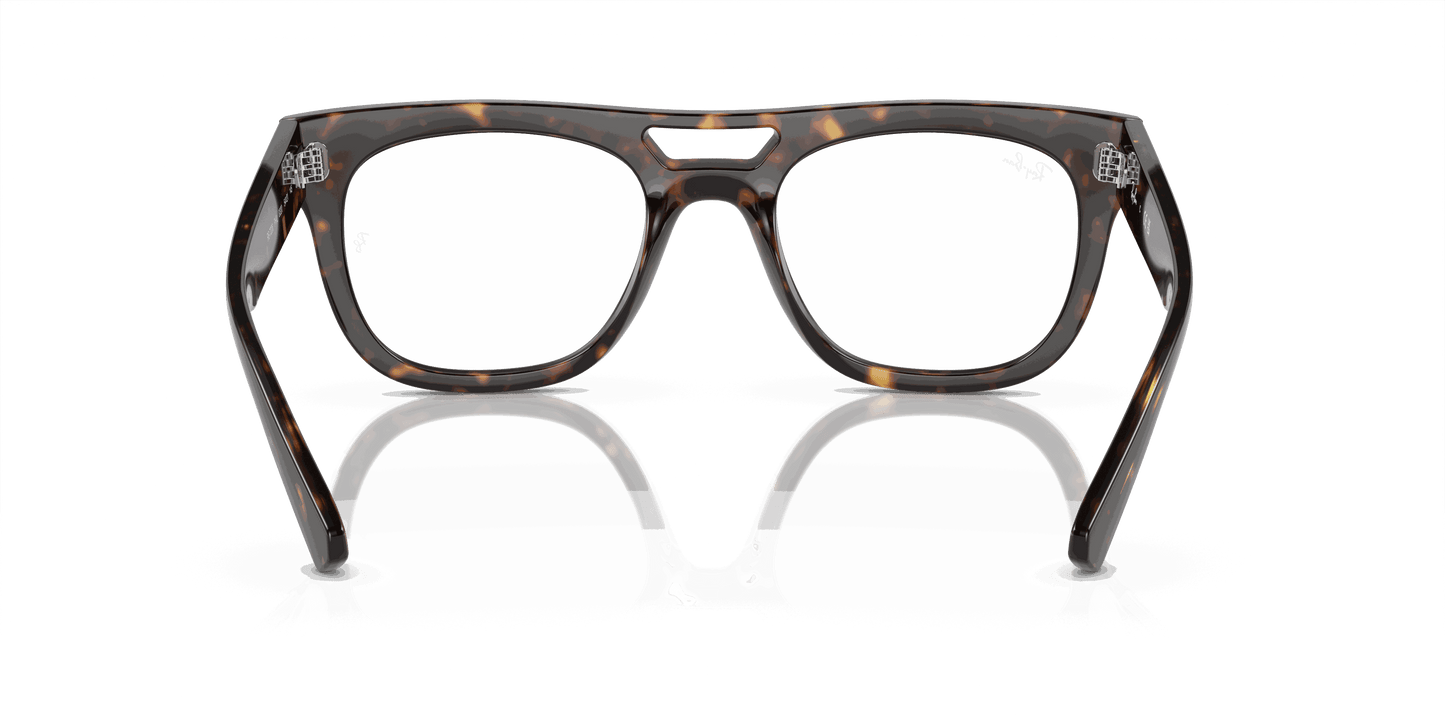 [Clear Lenses, Polished Havana Frame]