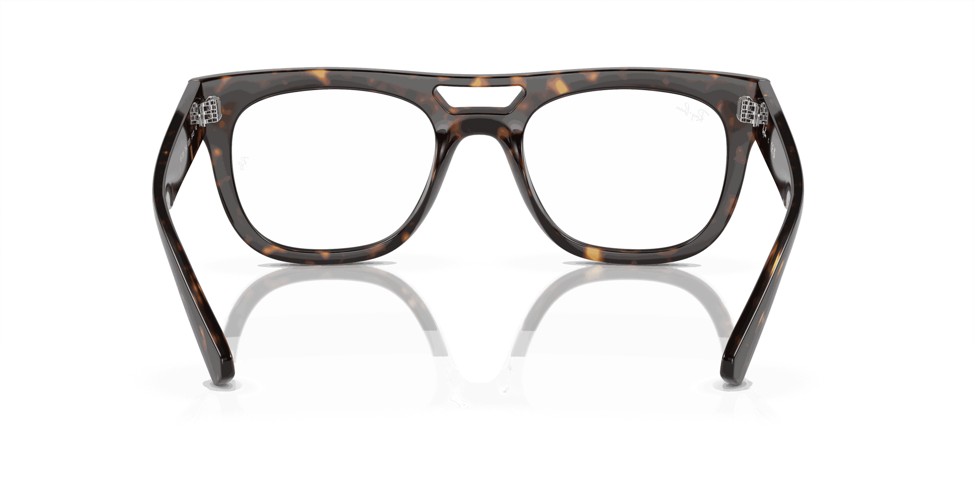 [Clear Lenses, Polished Havana Frame]