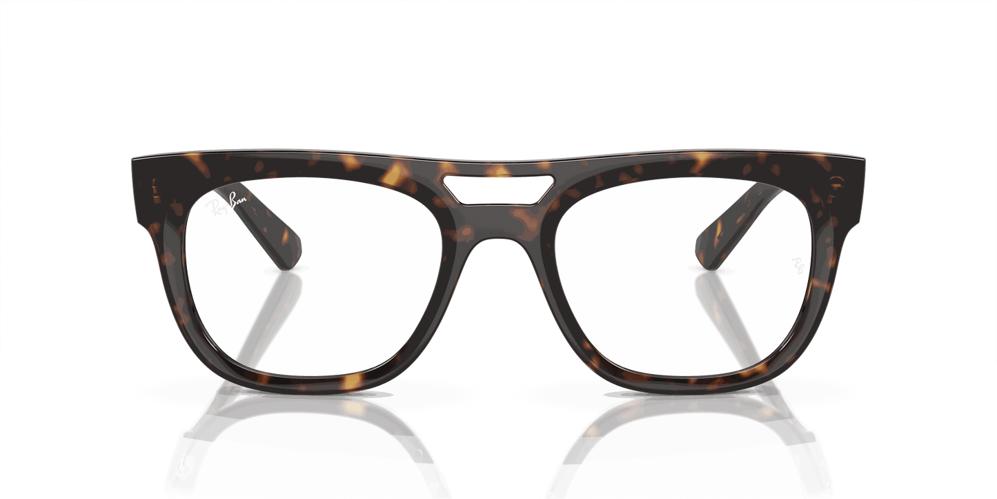 [Clear Lenses, Polished Havana Frame]