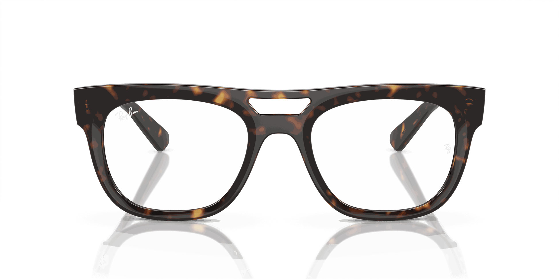 [Clear Lenses, Polished Havana Frame]