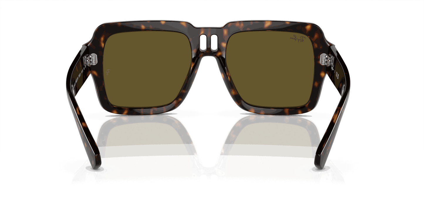[Dark Brown Lenses, Polished Havana Frame]