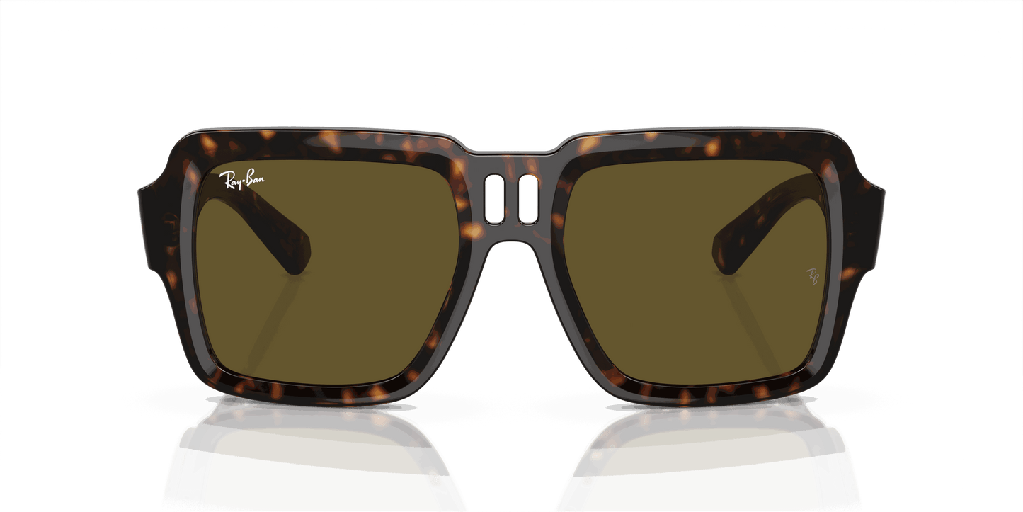 [Dark Brown Lenses, Polished Havana Frame]