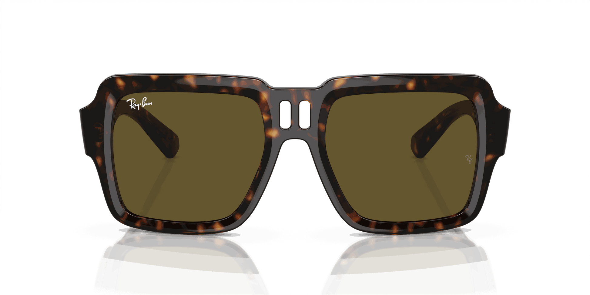 [Dark Brown Lenses, Polished Havana Frame]