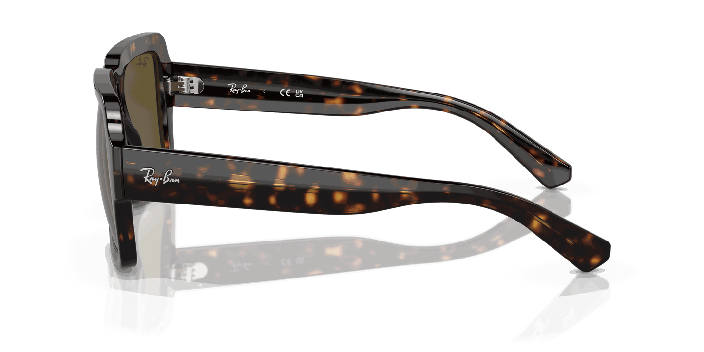 [Dark Brown Lenses, Polished Havana Frame]