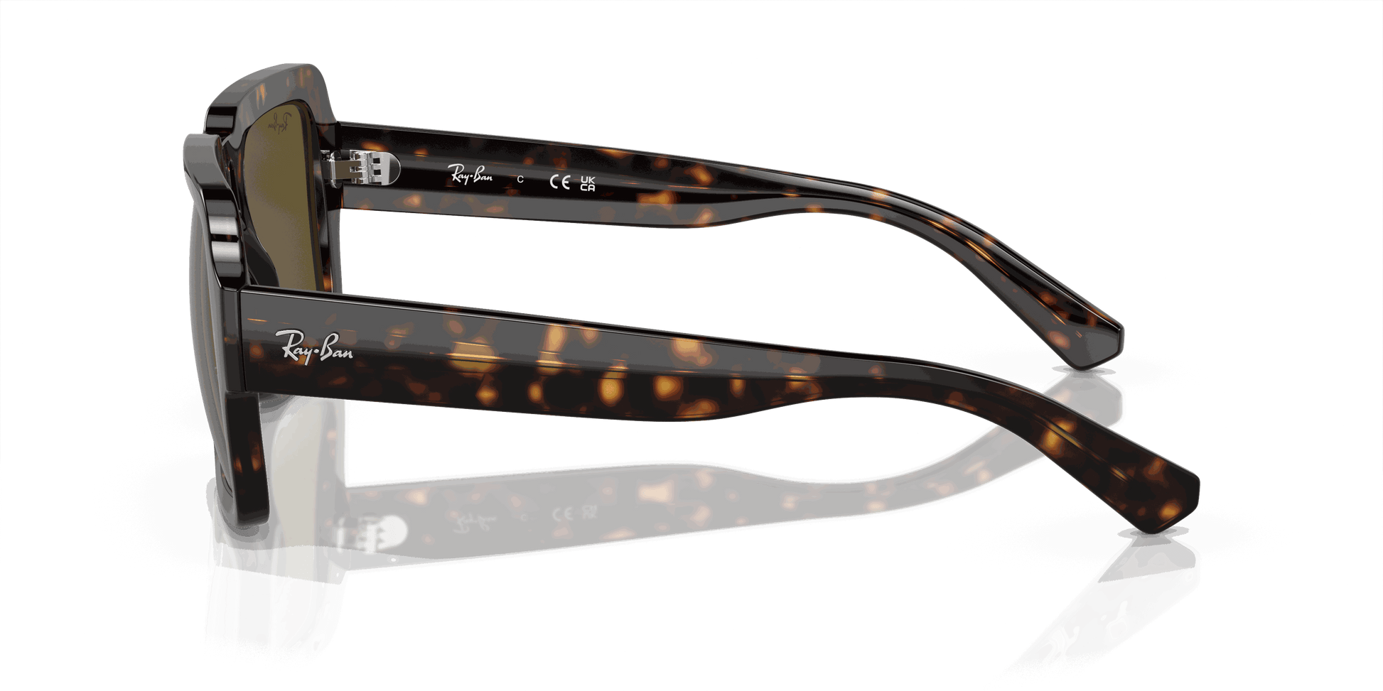 [Dark Brown Lenses, Polished Havana Frame]