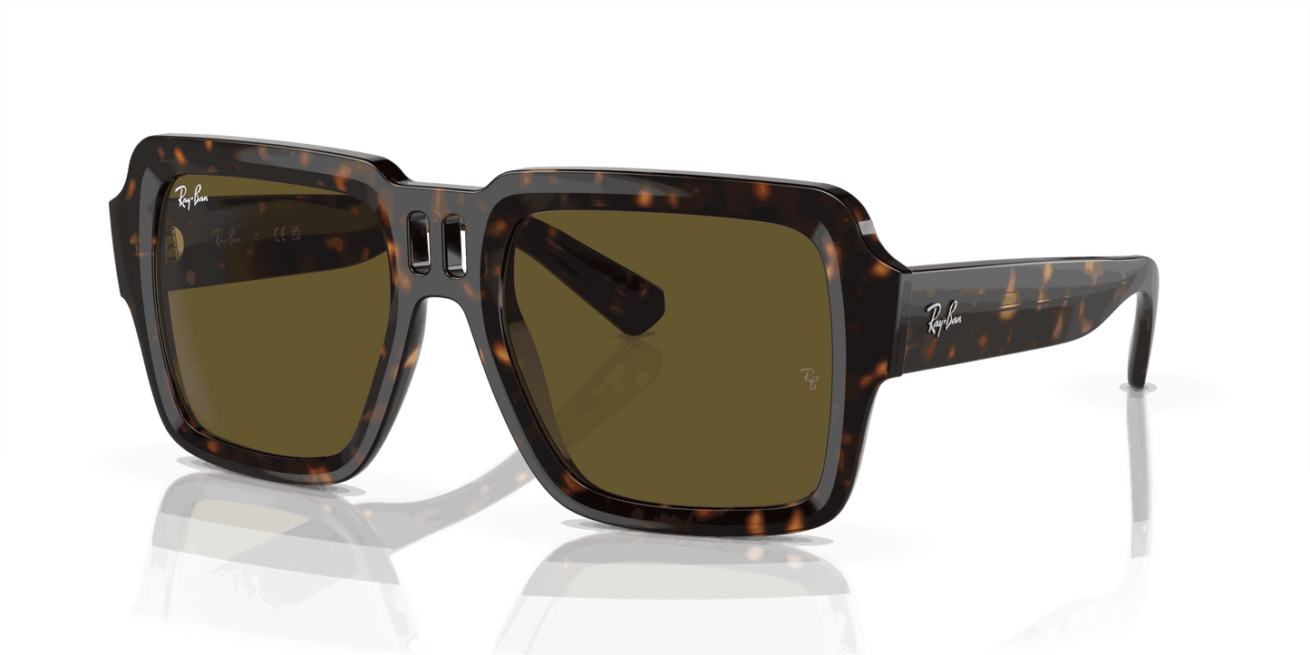 [Dark Brown Lenses, Polished Havana Frame]
