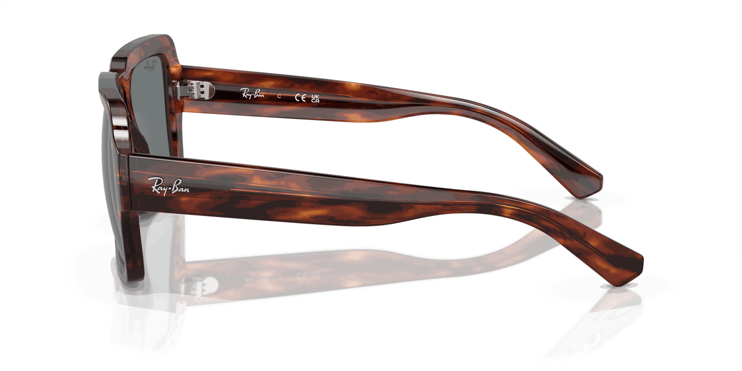 [Dark Blue Lenses, Polished Striped Havana Frame]