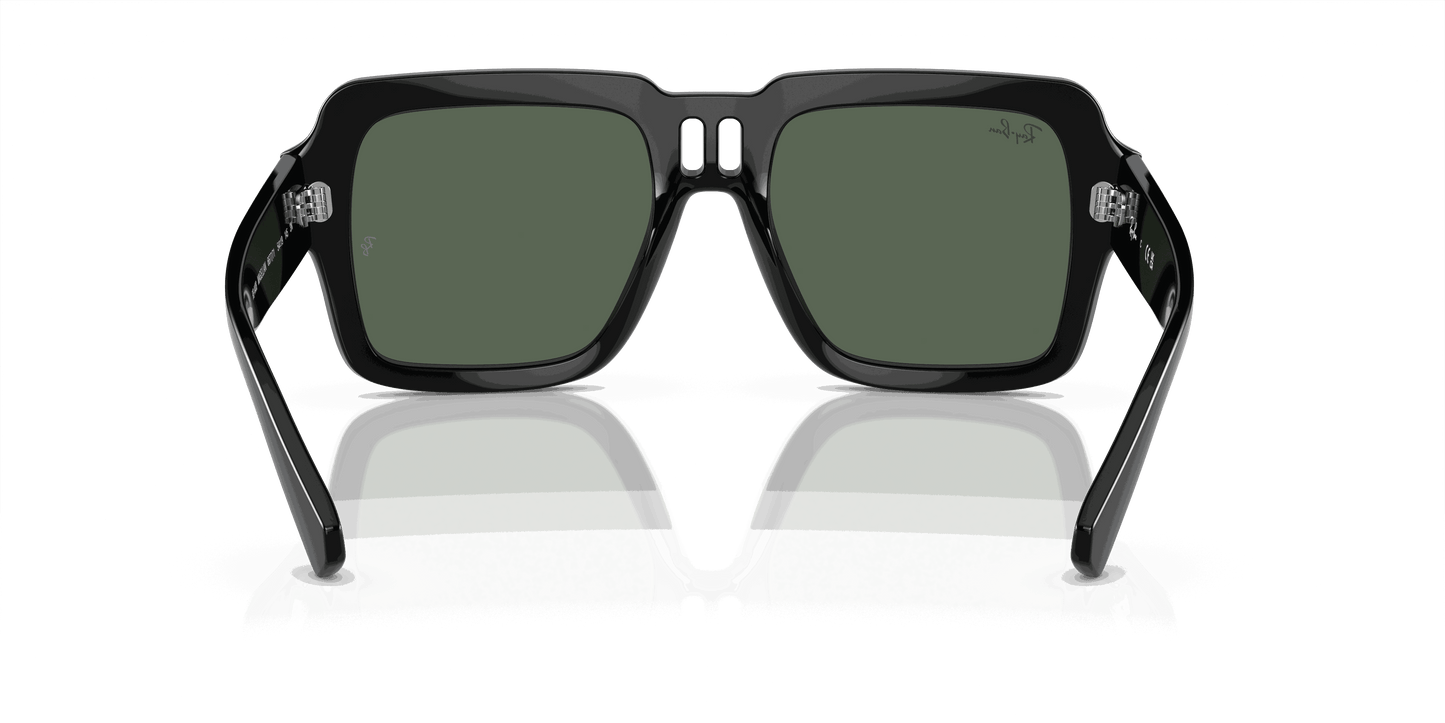 [Dark Green Lenses, Polished Black Frame]