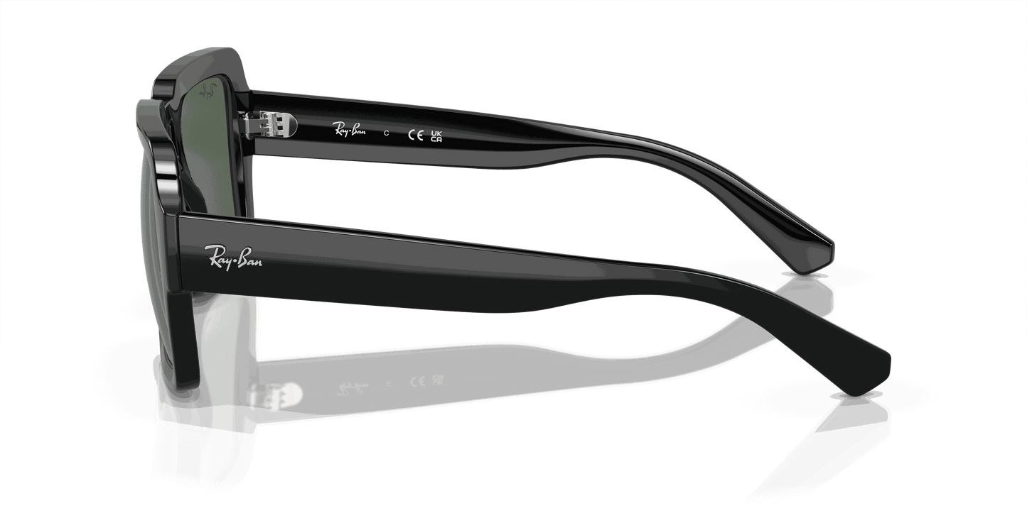 [Dark Green Lenses, Polished Black Frame]