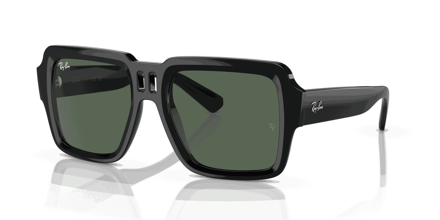 [Dark Green Lenses, Polished Black Frame]