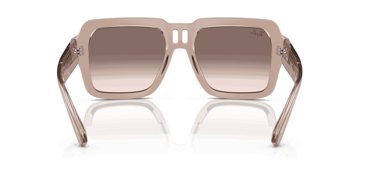 [Silver/Brown Lenses, Polished Transparent Light Brown Frame]