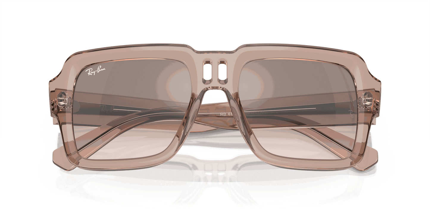 [Silver/Brown Lenses, Polished Transparent Light Brown Frame]