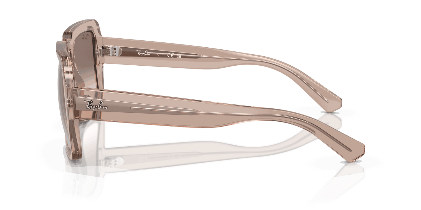 [Silver/Brown Lenses, Polished Transparent Light Brown Frame]