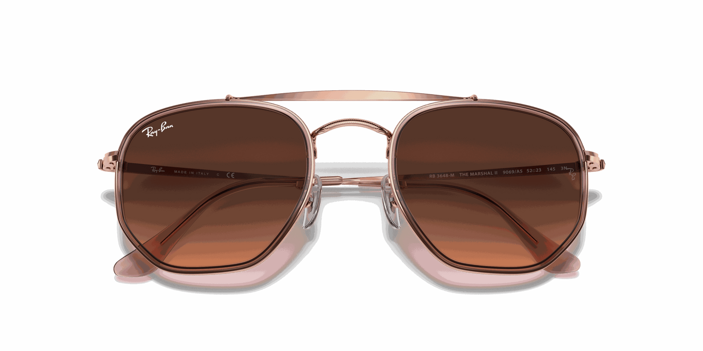 [Pink/Brown Gradient Lenses, Polished Copper Frame]