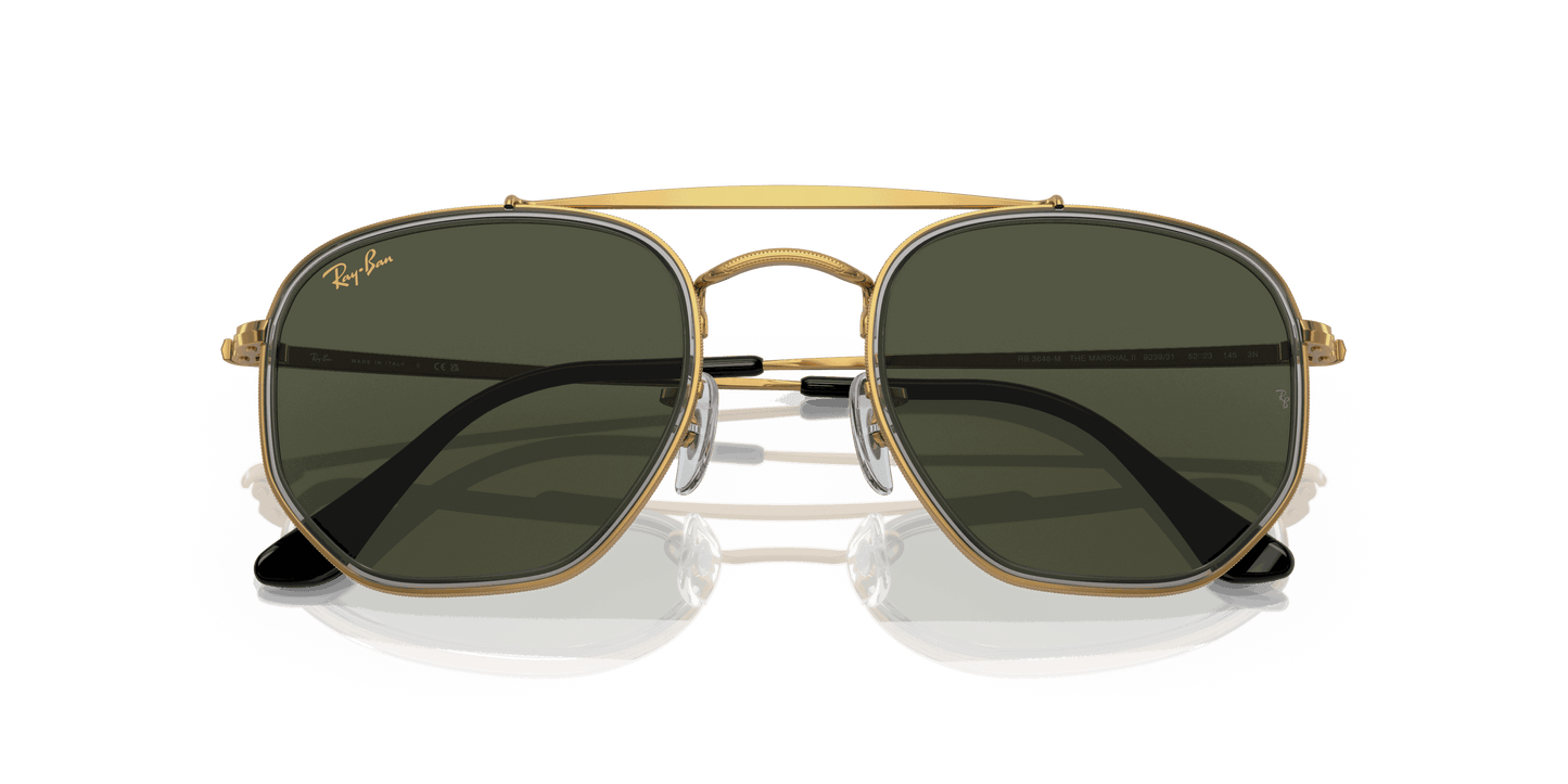 [Green Lenses, Polished Gold Frame]