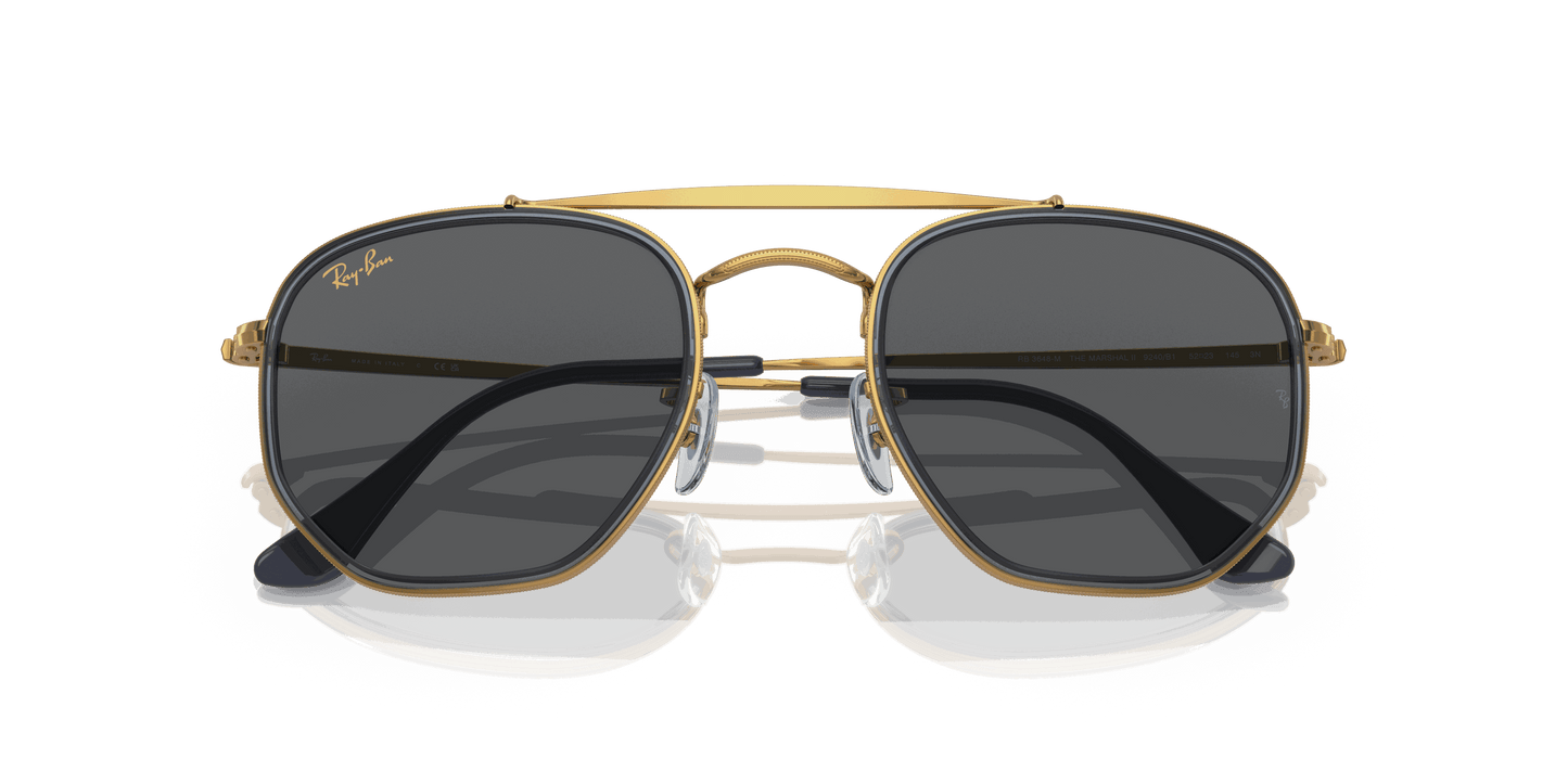 [Dark Grey Lenses, Polished Gold Frame]