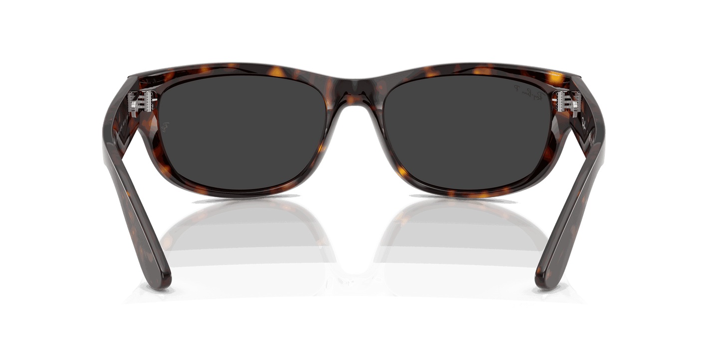 [Polar Black Lenses, Polished Havana Frame]