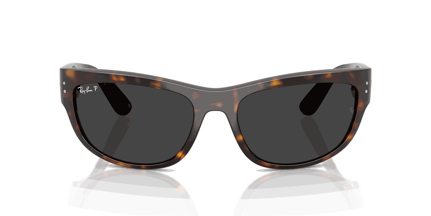 [Polar Black Lenses, Polished Havana Frame]