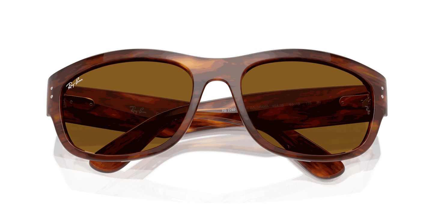 [B-15 Brown Lenses, Polished Striped Havana Frame]