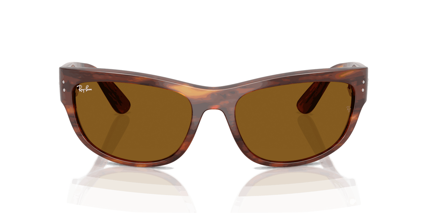 [B-15 Brown Lenses, Polished Striped Havana Frame]