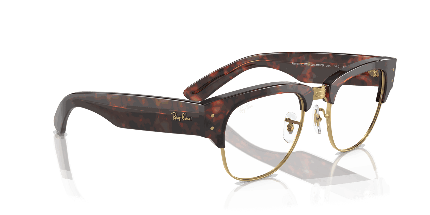[Clear Lenses, Polished Tortoise On Gold Frame]