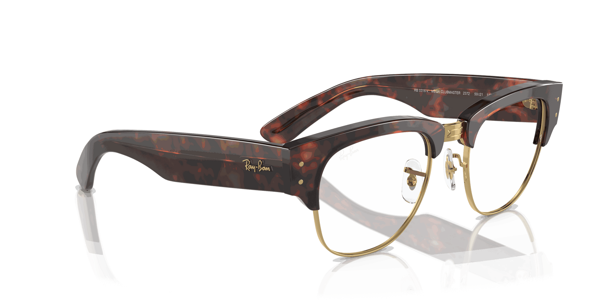 [Clear Lenses, Polished Tortoise On Gold Frame]