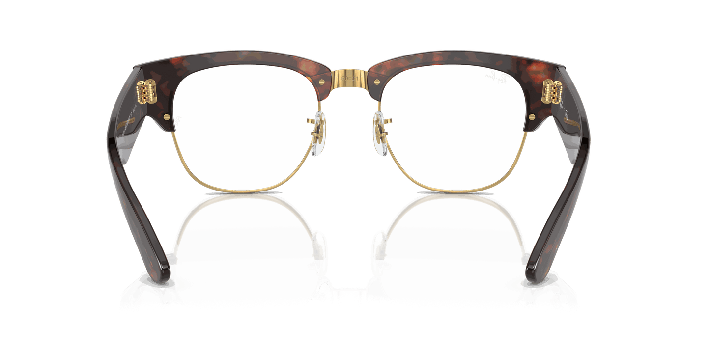 [Clear Lenses, Polished Tortoise On Gold Frame]