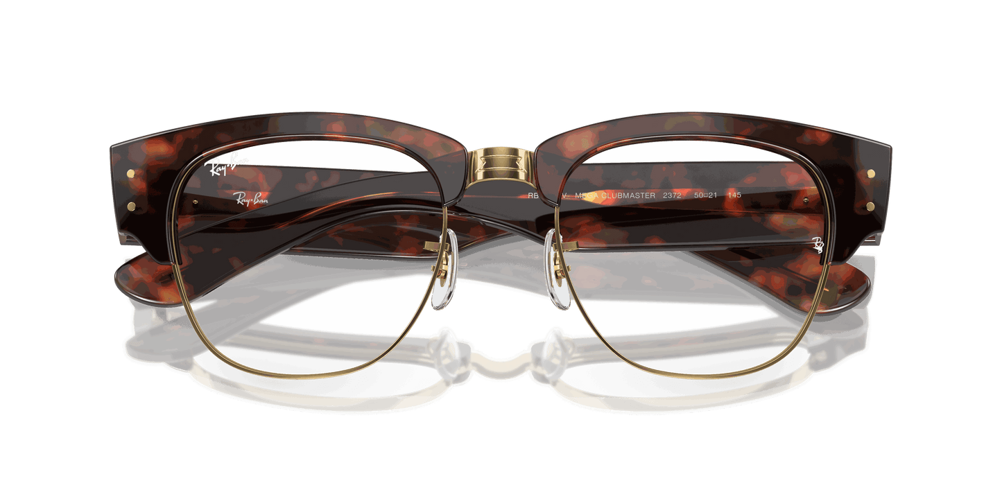 [Clear Lenses, Polished Tortoise On Gold Frame]