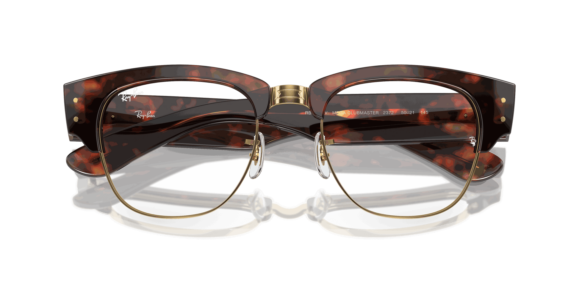 [Clear Lenses, Polished Tortoise On Gold Frame]